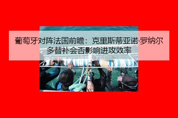 pu-tao-ya-dui-zhen-fa-guo-qian-zhan-ke-li-si-di-ya-nuo-luo-na-er-duo-ti-bu-hui-fou-ying-xiang-jin-gong-xiao-lv-2-283.jpg