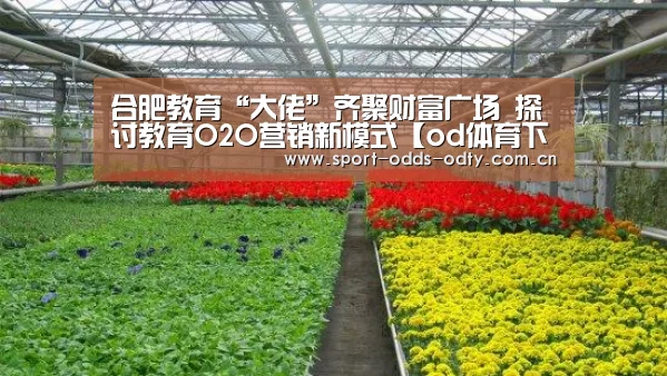 od体育下载